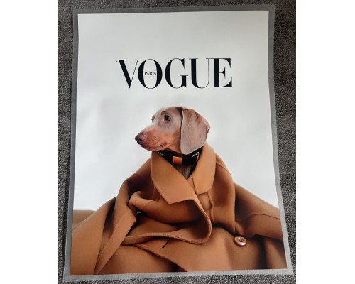 Термоналіпка на одяг Собака