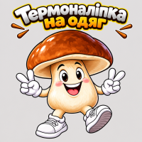 Термоналіпка на одяг  Грибочок у кедах