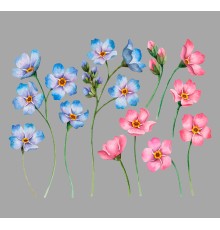 Термонаклейка на одяг Квіти 