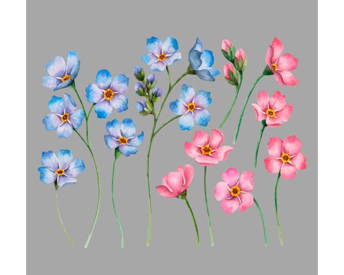 Термонаклейка на одяг Квіти