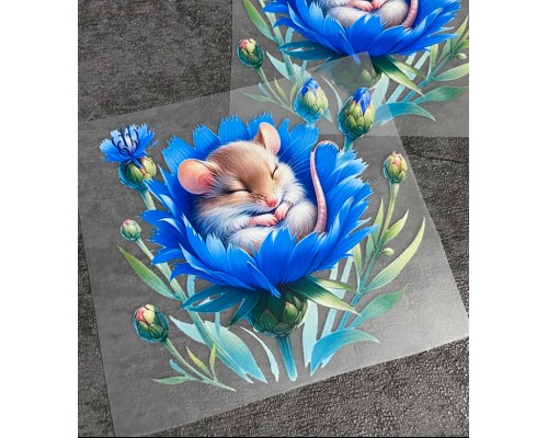 Термоналіпка на одяг Волошка мишеня