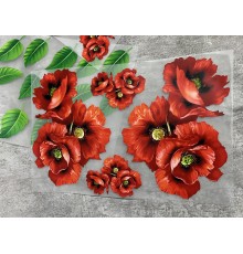 Термоналіпка на одяг Маки квіти збірка