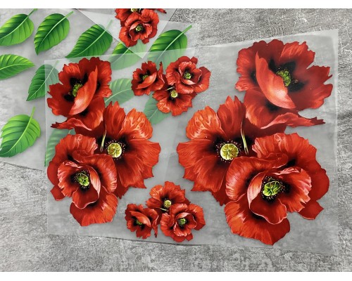 Термоналіпка на одяг Маки квіти збірка