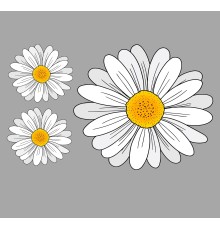 Термоналіпка на одяг Ромашка 18*11см