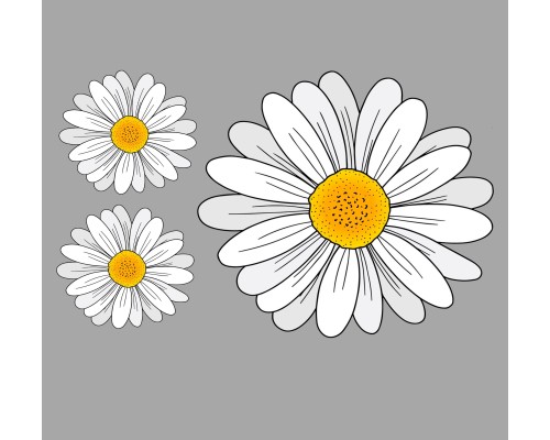Термоналіпка на одяг Ромашка 18*11см