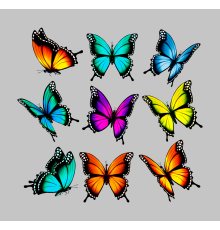Термонаклейка на одяг Метелик  набір 18*19