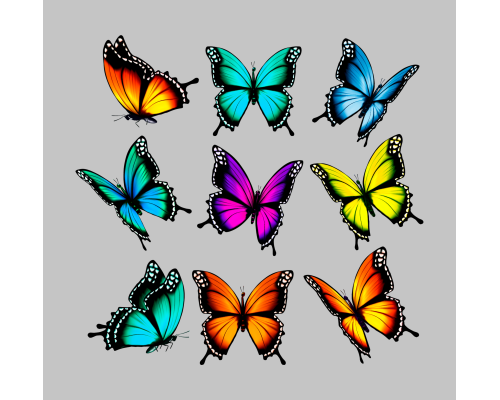 Термонаклейка на одяг Метелик 0032