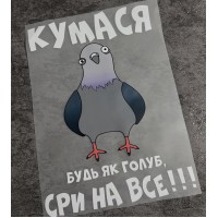 Термоналіпка на одяг Кумася 