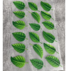 Термоналіпка на одяг Листя зелені набір 