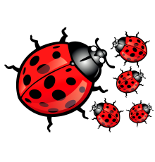 Термотрансфер на одяг Божа корівка