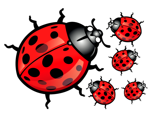 Термотрансфер на одяг Божа корівка