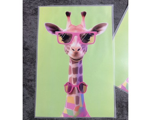 Термоналіпка на одяг Жираф Окуляри